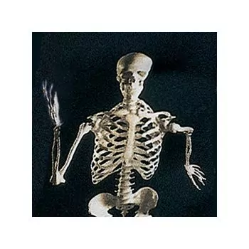 Cravate "Going one step further", noire, en soie W41067